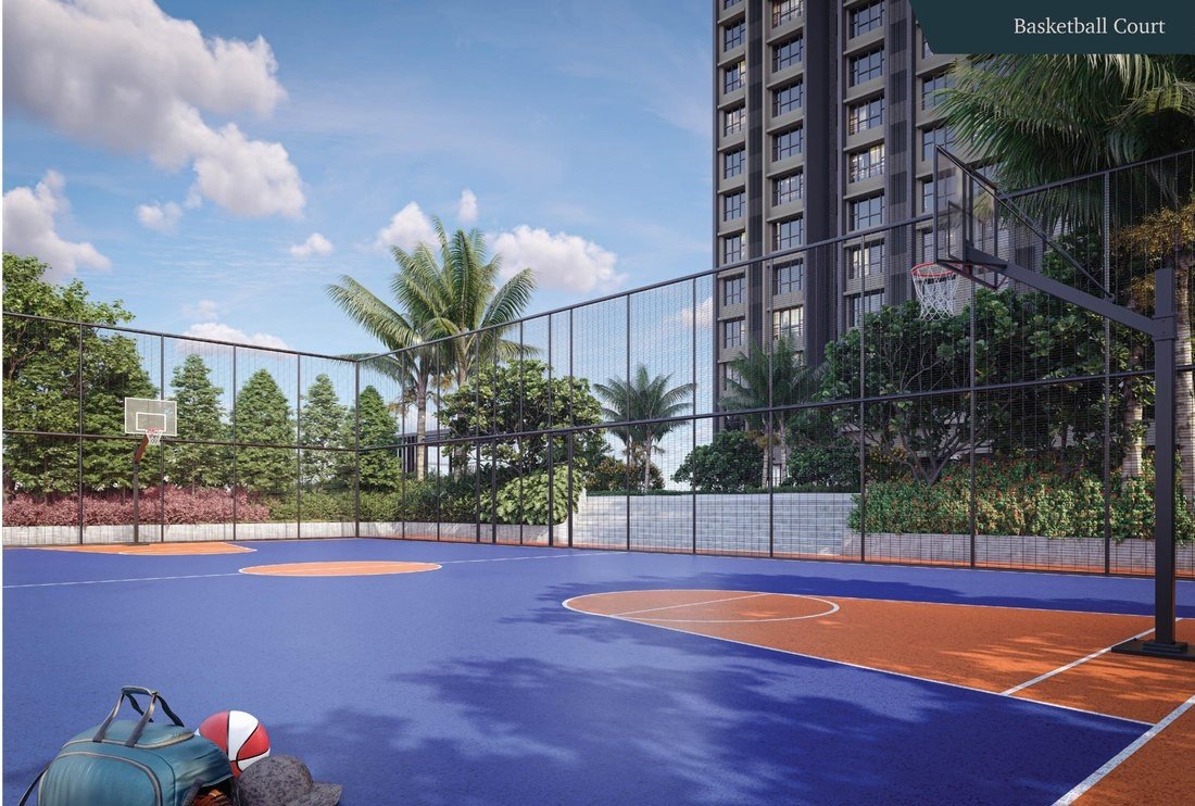 Basketball court