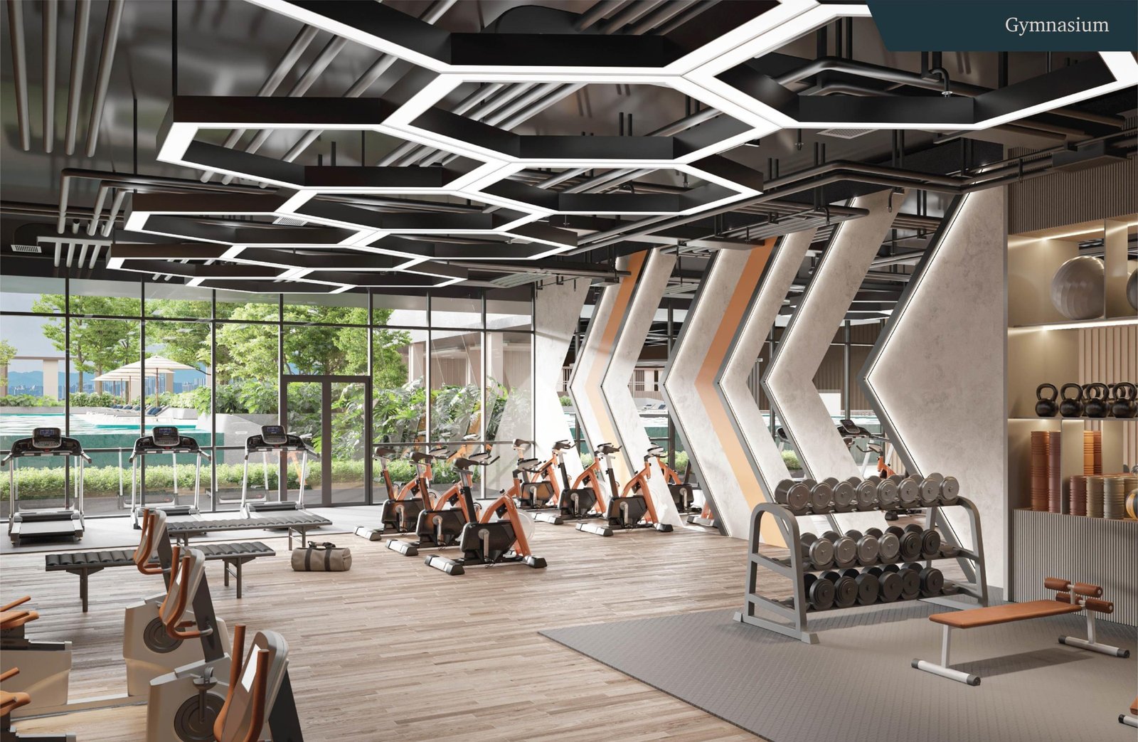 Gymnasium